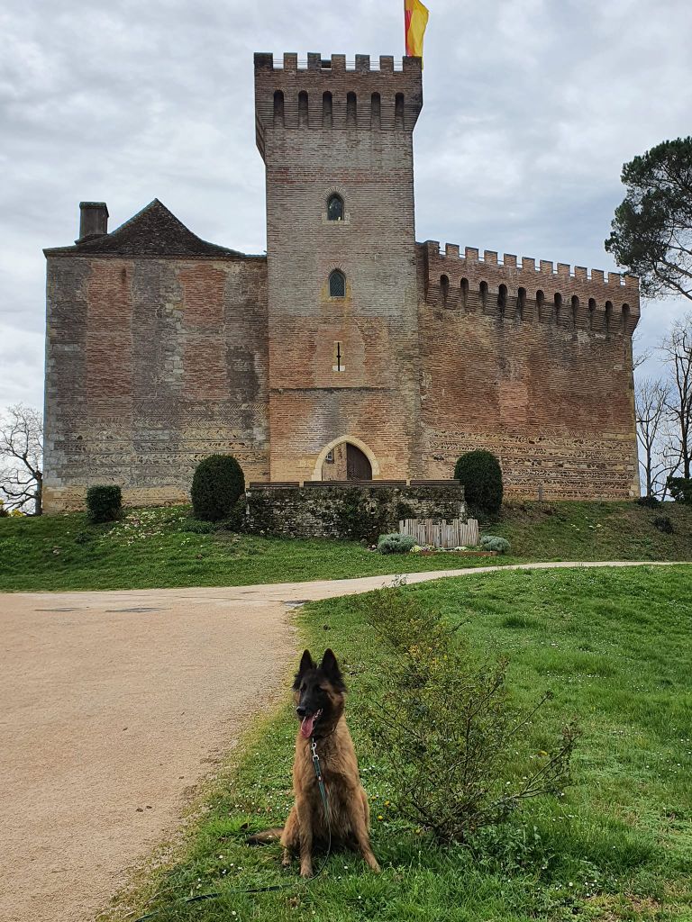 O-hara Du Domaine Des Pitchounes